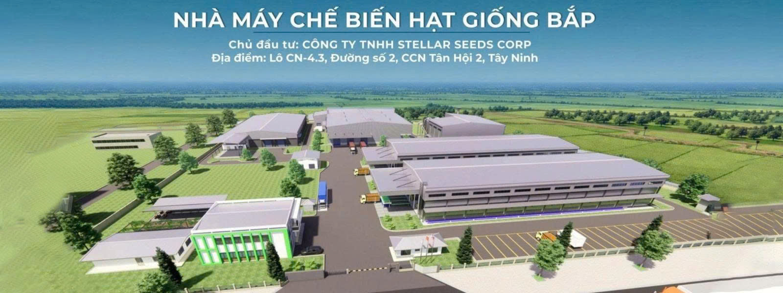 Trung Lâm 4